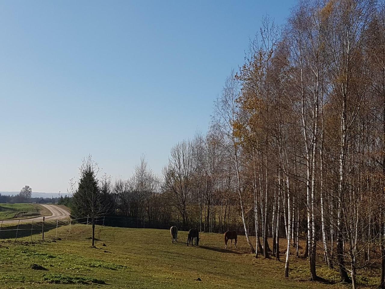 Villa Cheval Aukštadvaris Exterior foto